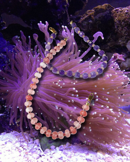 Bracelets Sea Anemone